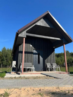 Žvilgsnis į šilę, Kurkliai
